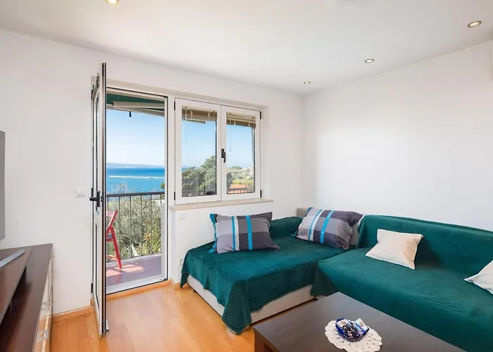 Sunny Vista Apartment